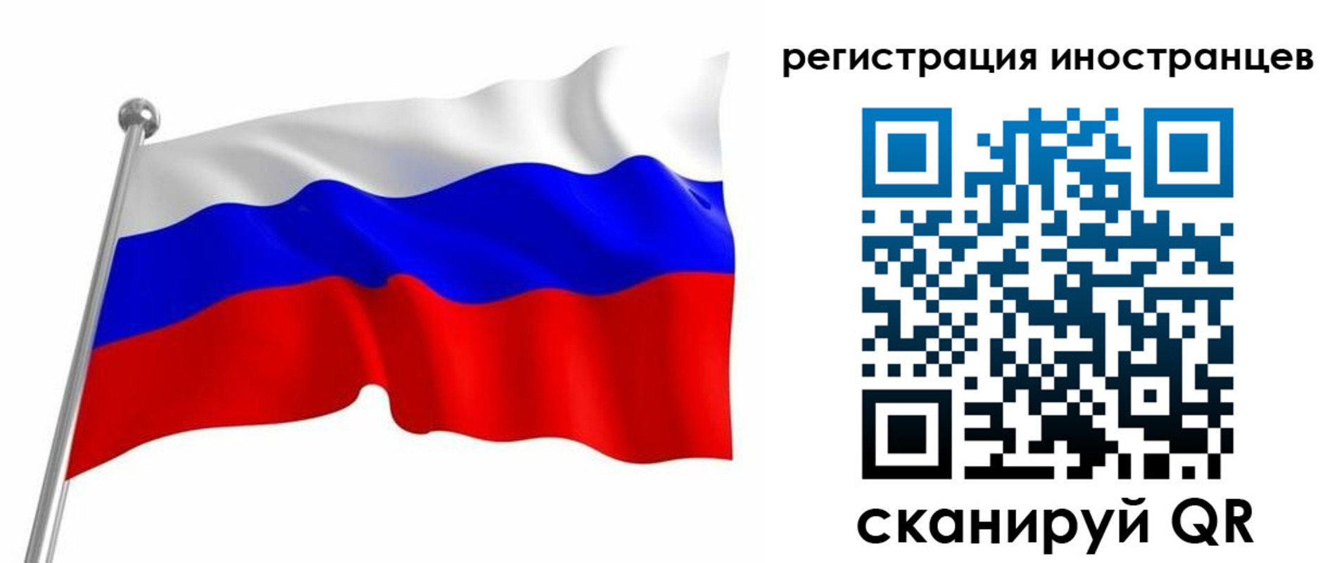 прописка штамп в Нелидово